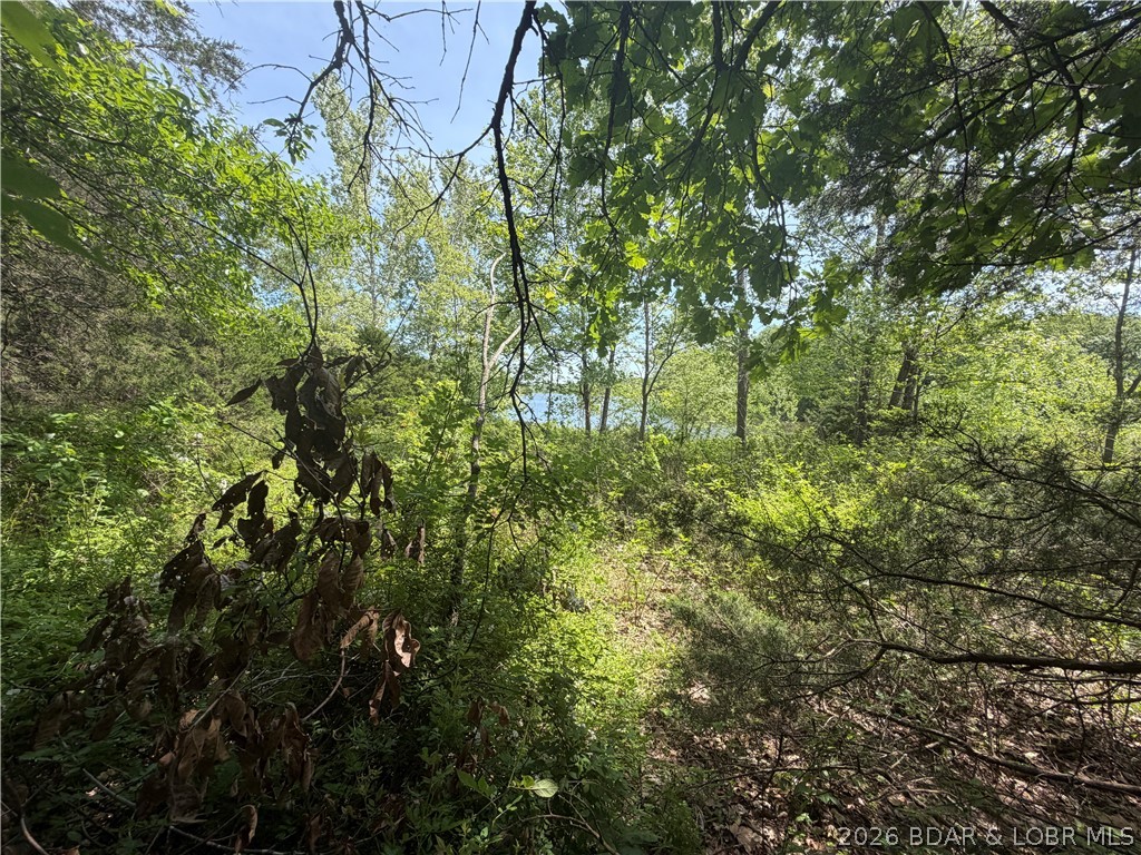 Forbes Lake of the Ozarks - Land