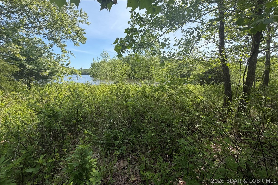 Forbes Lake of the Ozarks - Land