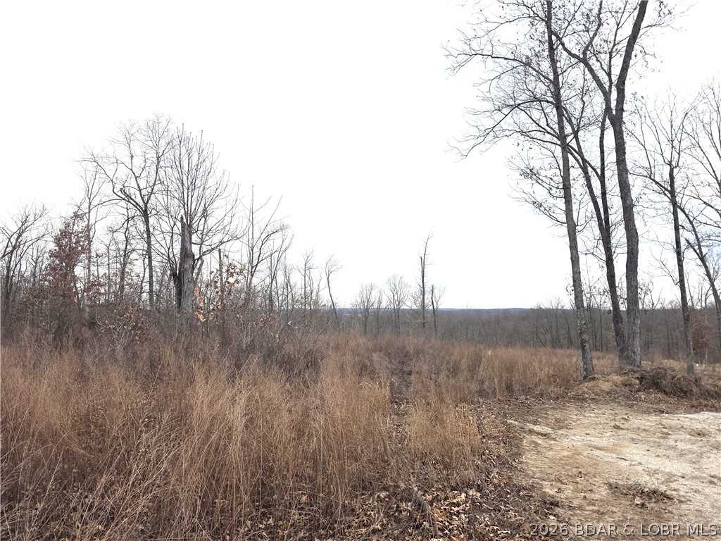 None - Land
