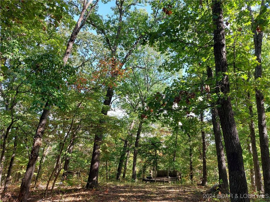 10+/- Acres waiting for your hunting or camping adventures! This wooded land features large, mature oak and native timber providing mast for deer and wild turkeys! There is a beautiful, secluded clearing for setting up your camp or homestead. Varied terrain  provides opportunities for making exciting trails for hiking or off roading ATV fun!  No zoning! No Restrictions so you can establish whatever style home you desire. Check it out today!