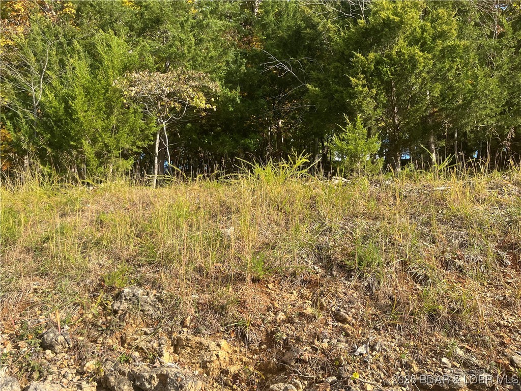 Palisades Point #4 - Land