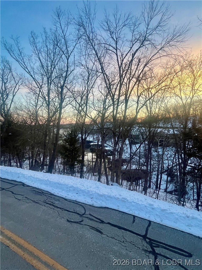 Palisades Point #4 - Land