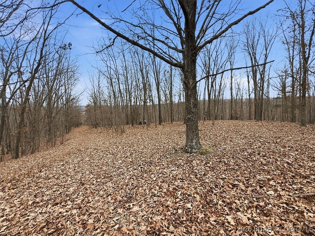 Coffman Bend #2 - Land