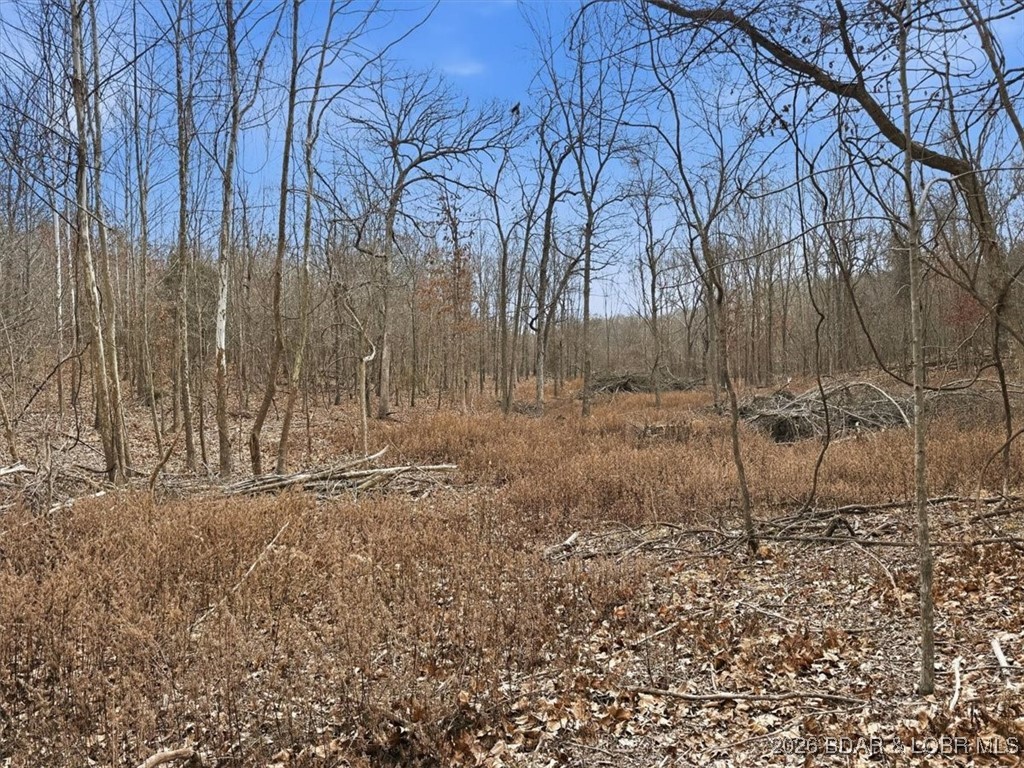 Coffman Bend #2 - Land