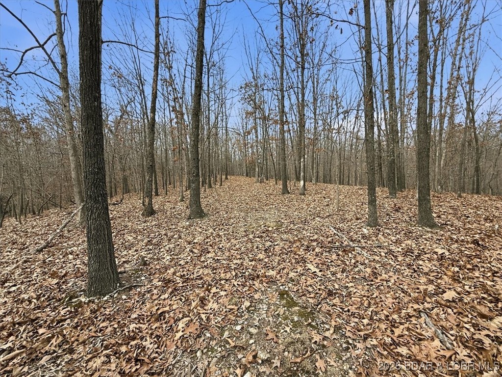 Coffman Bend #2 - Land