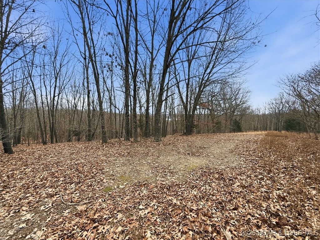 Coffman Bend #2 - Land