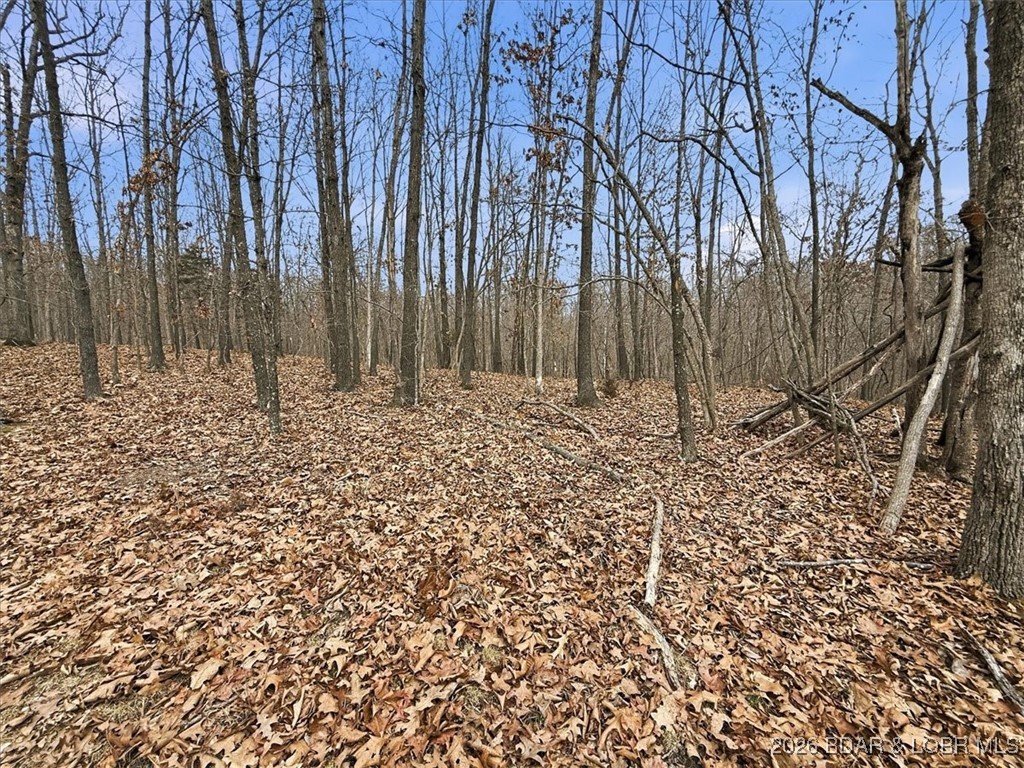 Coffman Bend #2 - Land