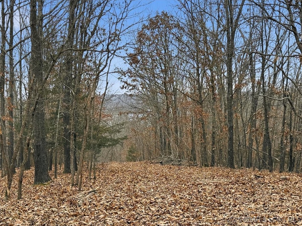 Coffman Bend #2 - Land