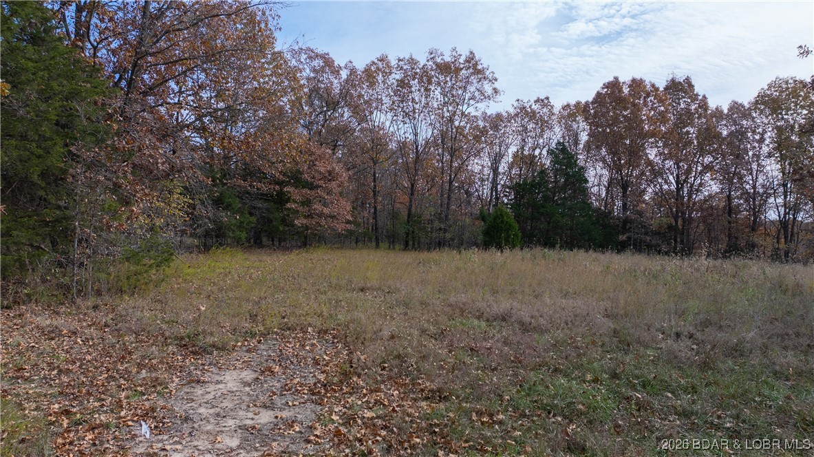 Coffman Bend #2 - Land