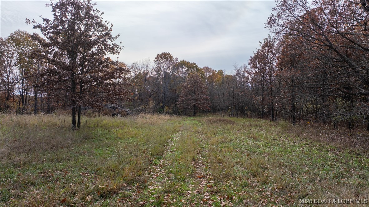 Coffman Bend #2 - Land