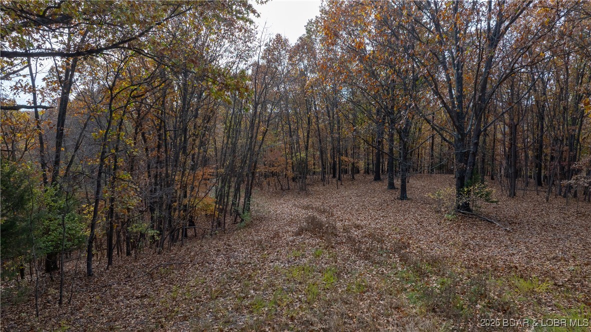 Coffman Bend #2 - Land