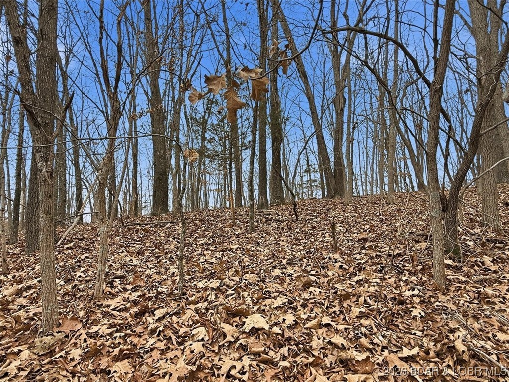 Coffman Bend #2 - Land