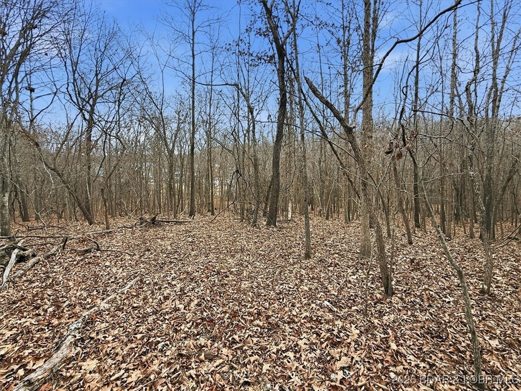 Coffman Bend #2 - Land