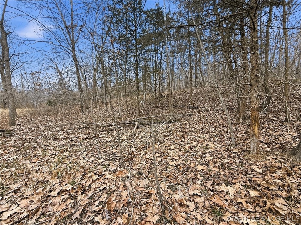 Coffman Bend #2 - Land