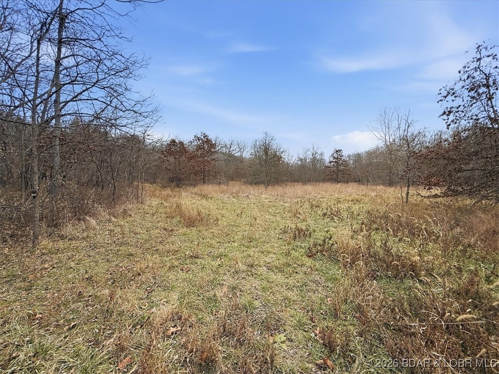 Coffman Bend #2 - Land