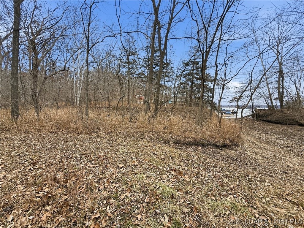 Coffman Bend #2 - Land