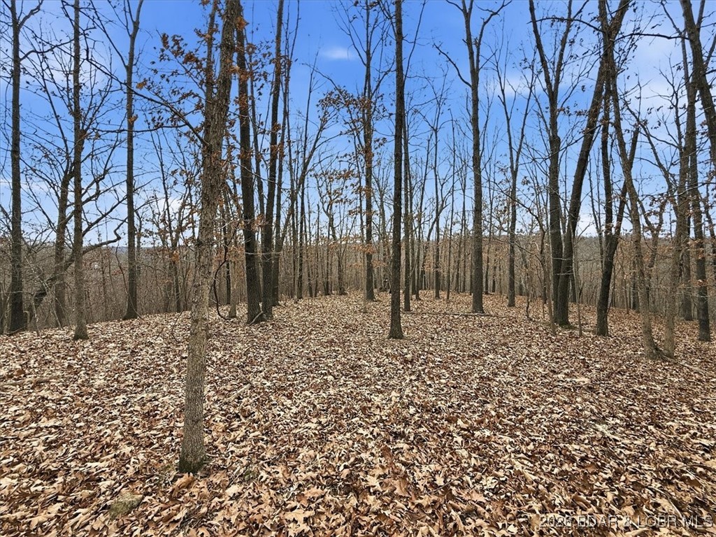 Coffman Bend #2 - Land