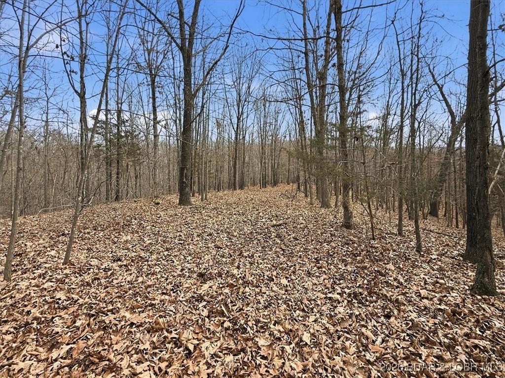 Coffman Bend #2 - Land