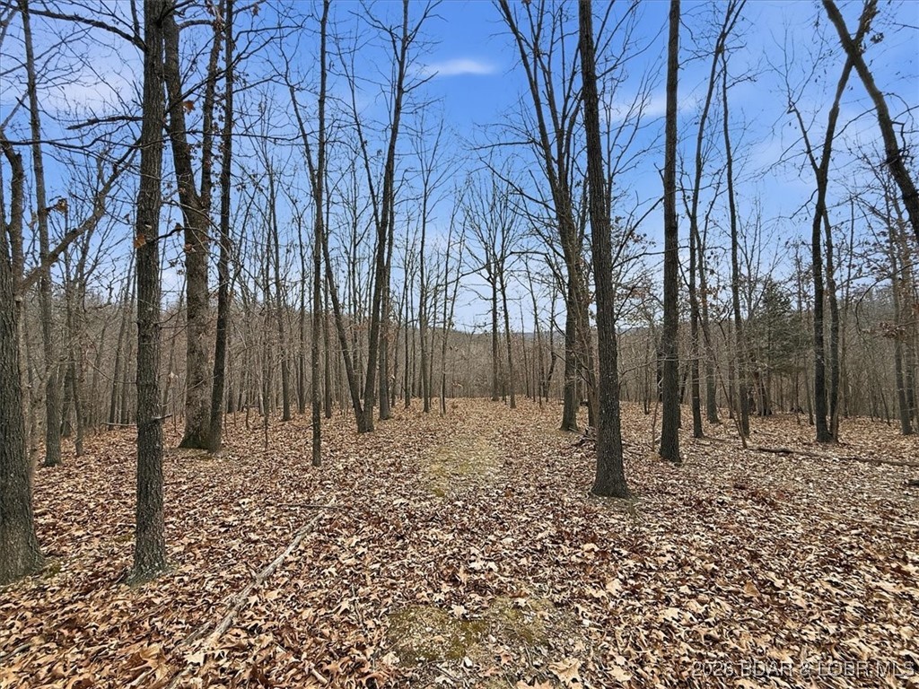 Coffman Bend #2 - Land