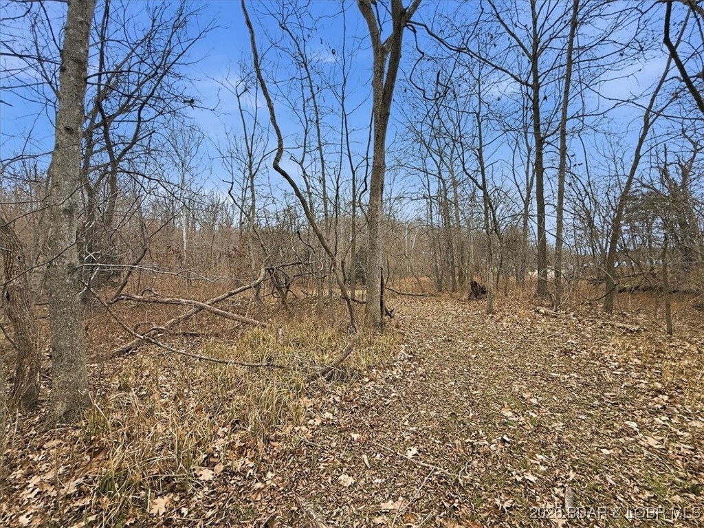 Coffman Bend #2 - Land