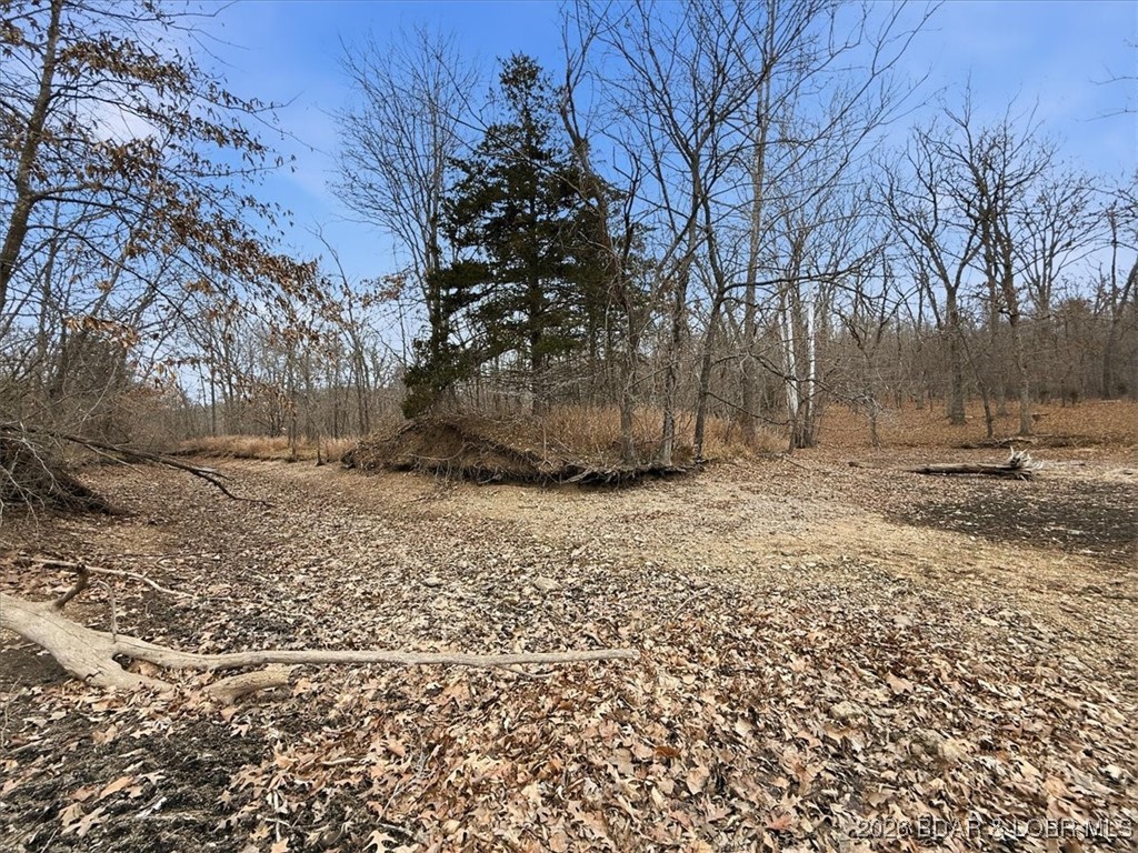 Coffman Bend #2 - Land