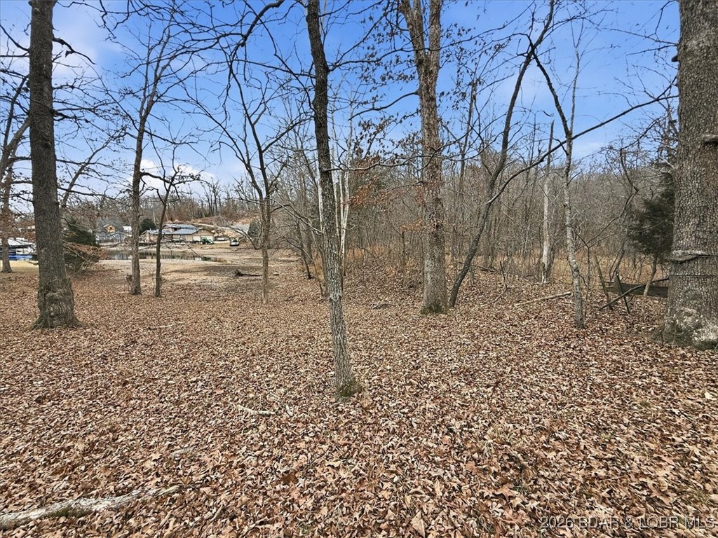 Coffman Bend #2 - Land