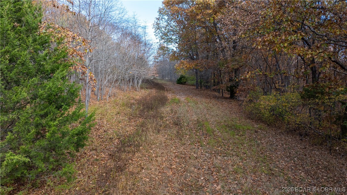 Coffman Bend #2 - Land