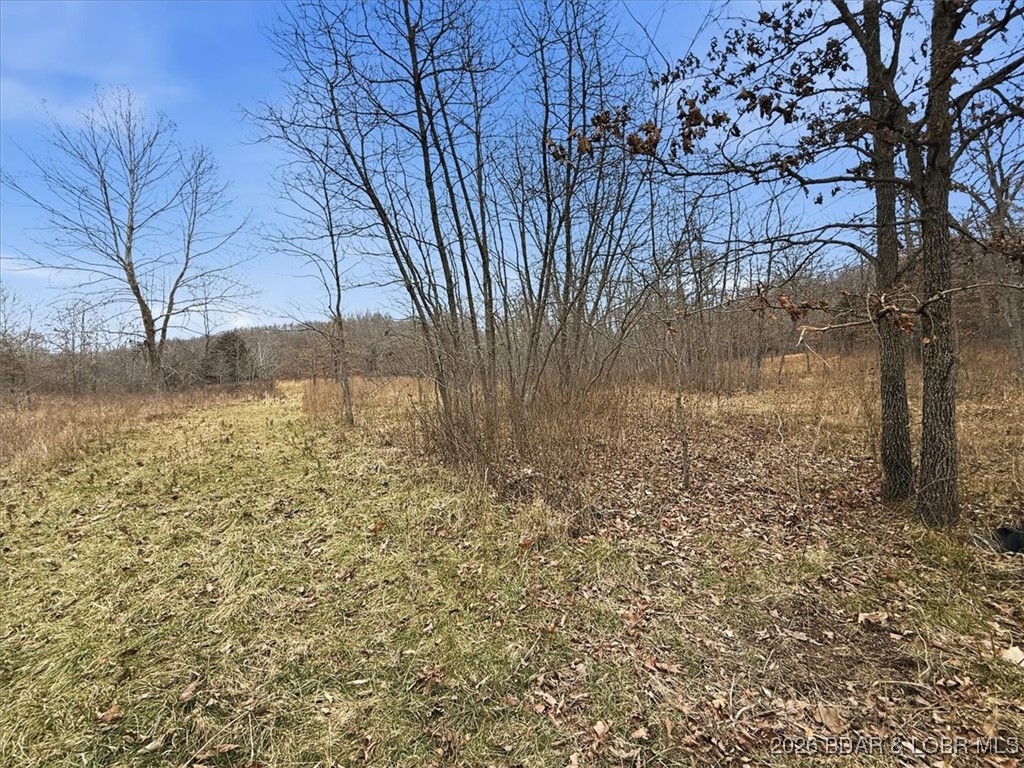 Coffman Bend #2 - Land