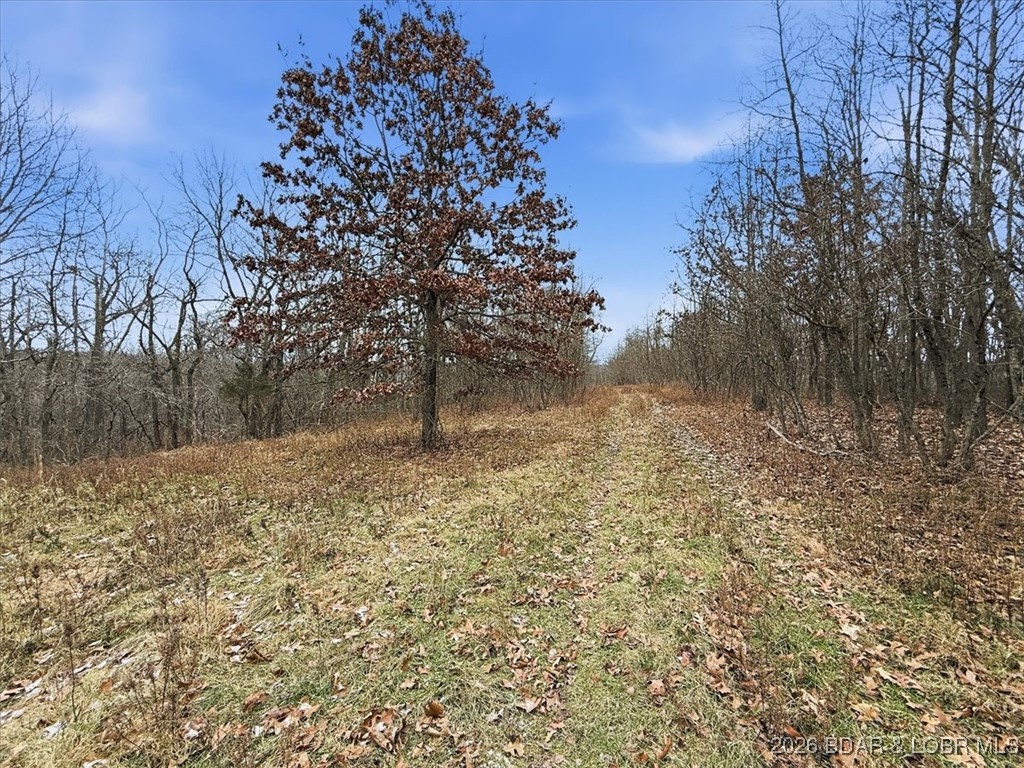 Coffman Bend #2 - Land