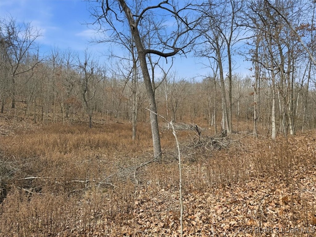 Coffman Bend #2 - Land