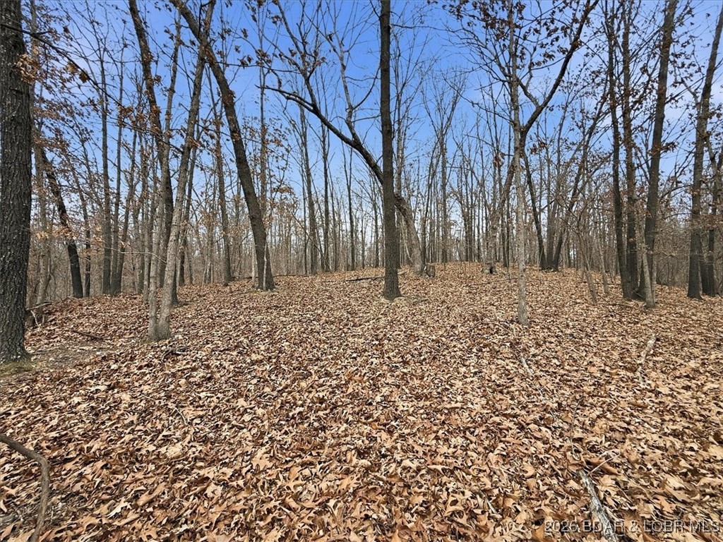 Coffman Bend #2 - Land