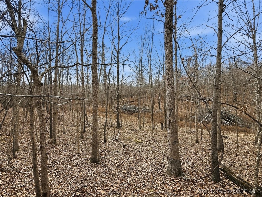 Coffman Bend #2 - Land