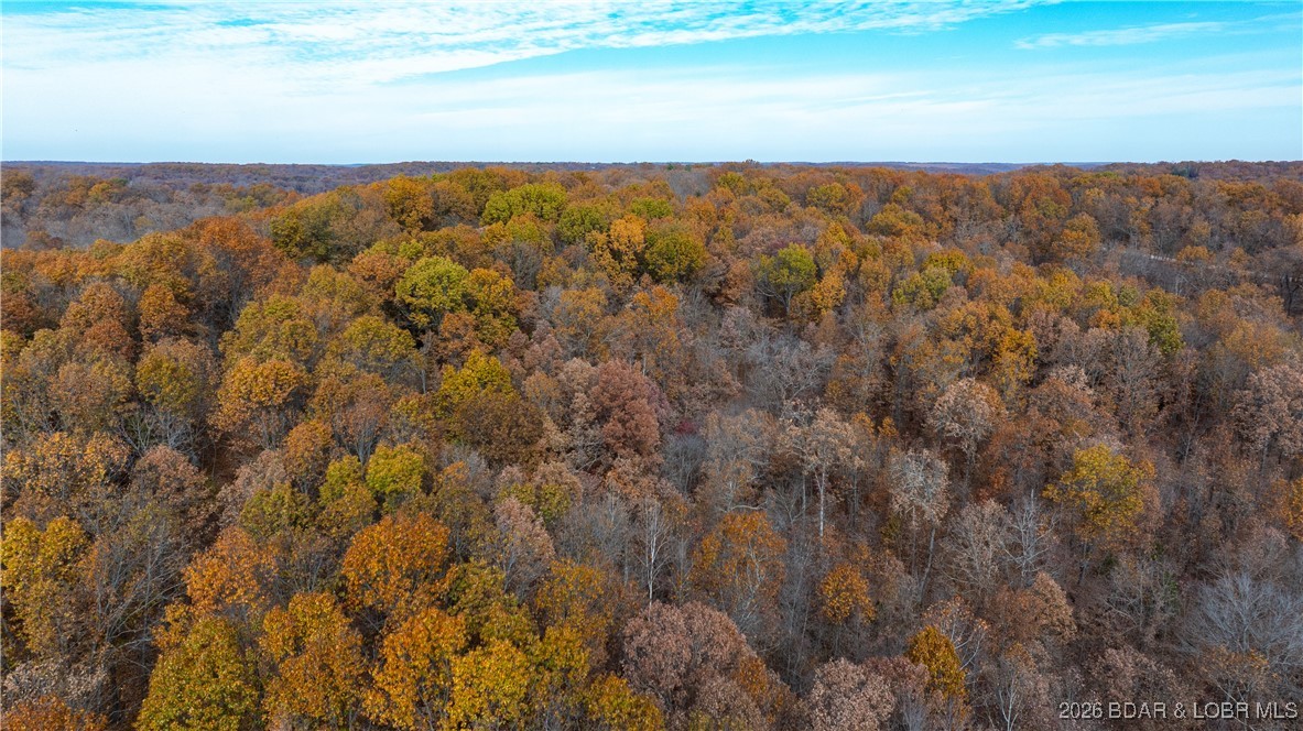 Coffman Bend #2 - Land