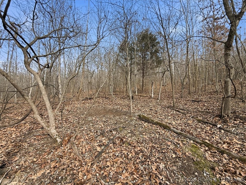 Coffman Bend #2 - Land