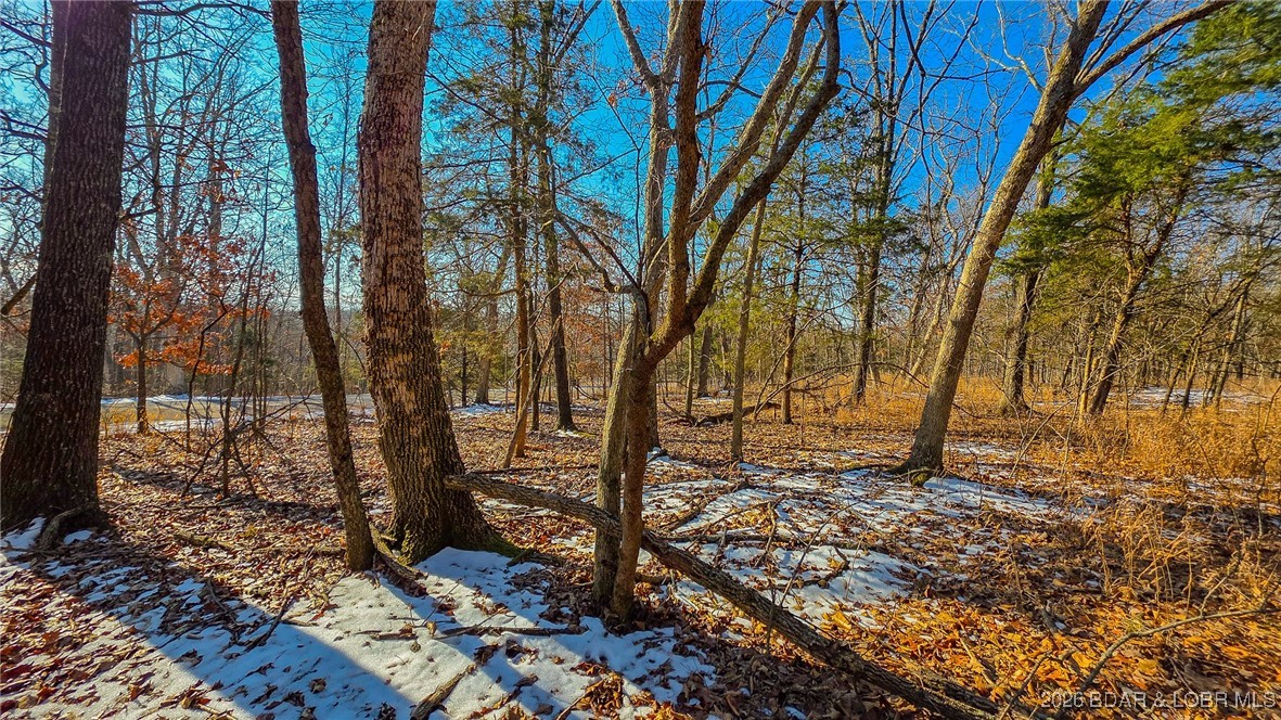 Champions Run - Land