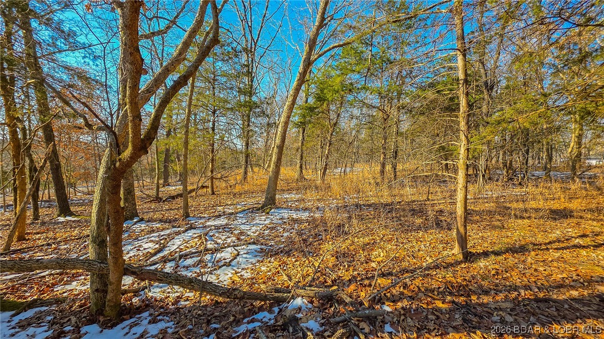 Champions Run - Land