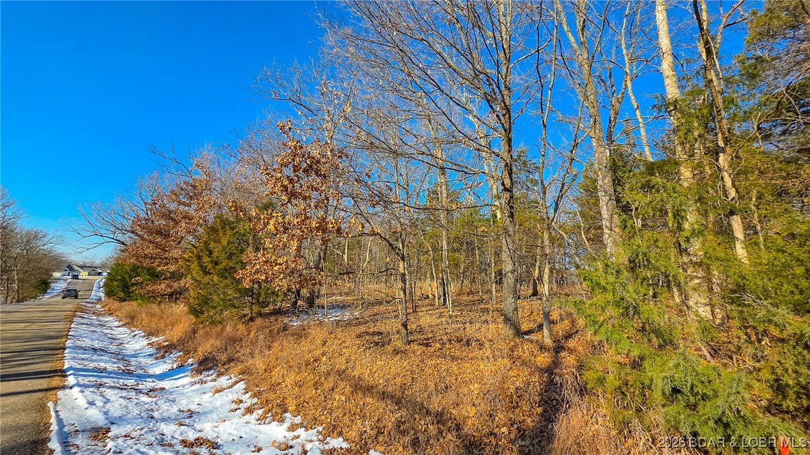 Champions Run - Land