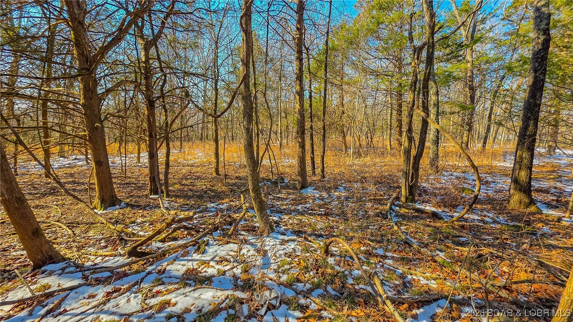 Champions Run - Land