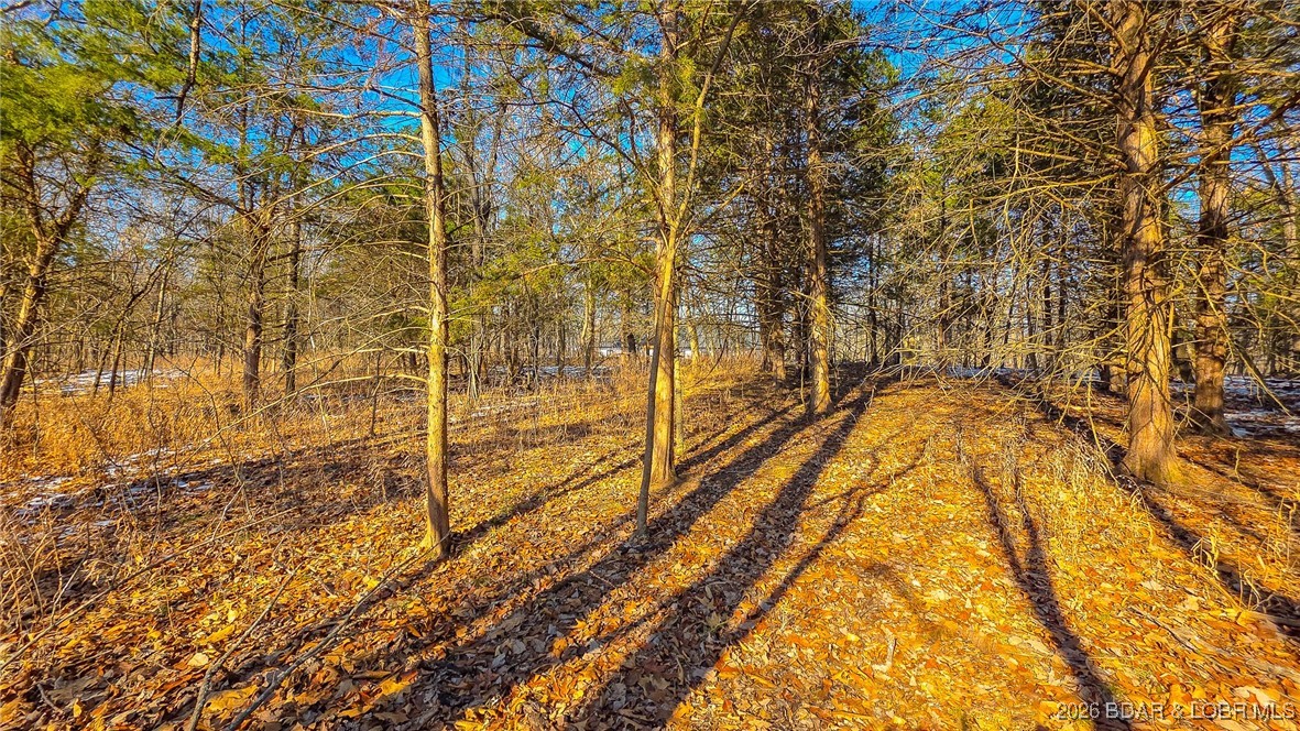 Champions Run - Land