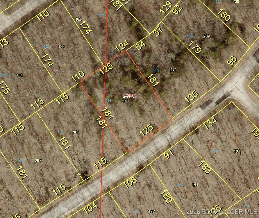 Champions Run - Land