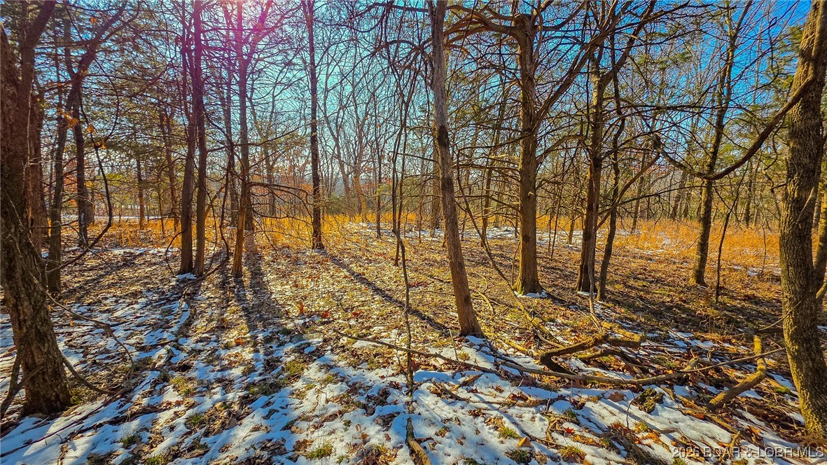 Champions Run - Land