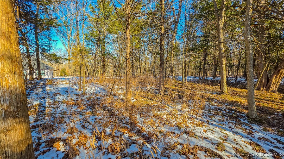 Champions Run - Land