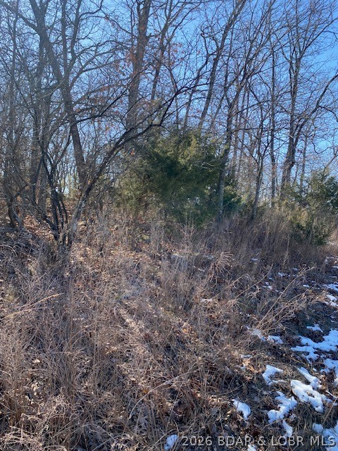 Country Club Cove - Land