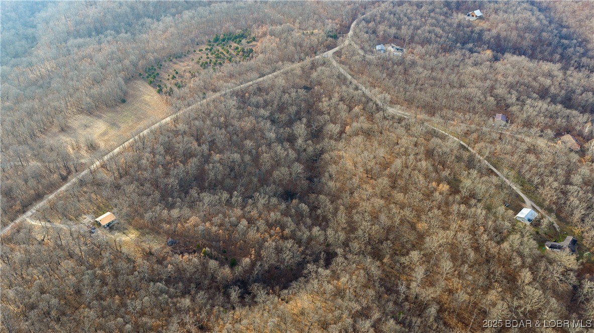 Out of Area - Land