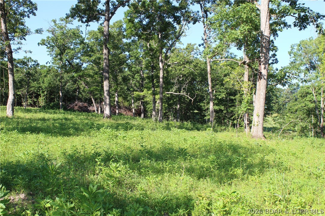 Indian Rock Estates - Land