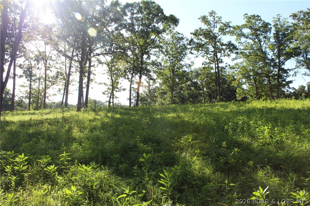 Indian Rock Estates - Land
