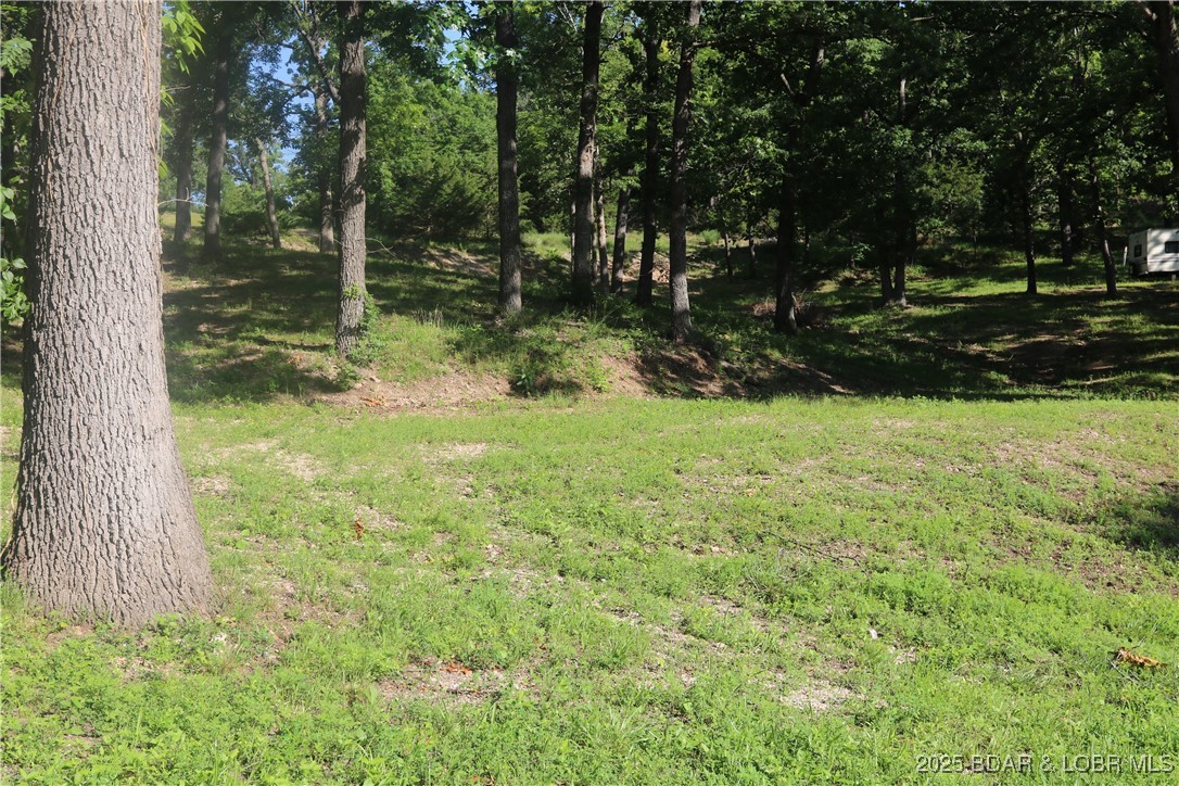 Easter Hollow - Land