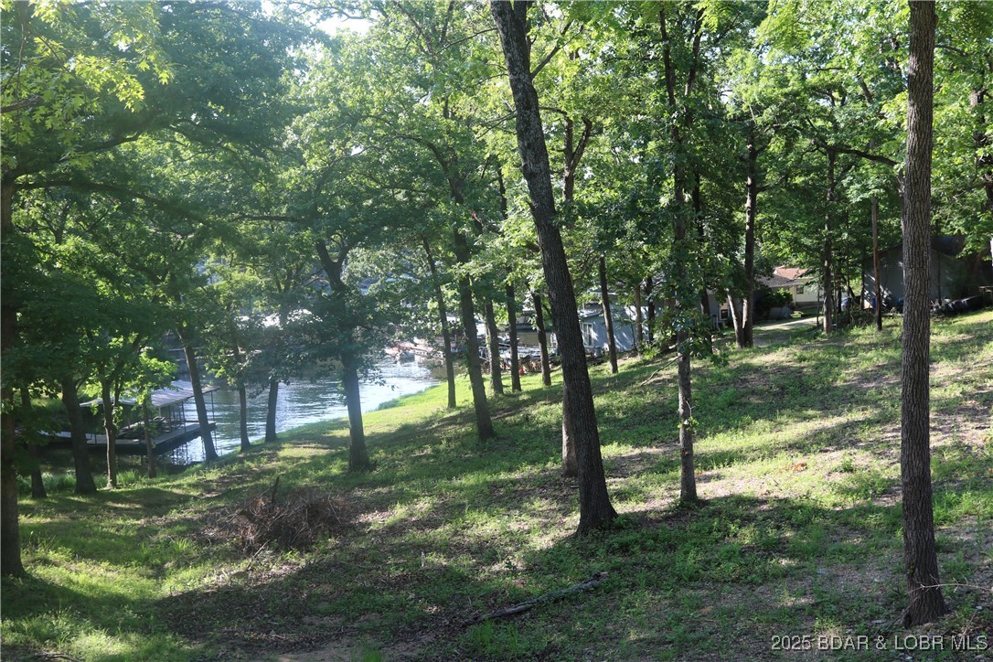 Easter Hollow - Land