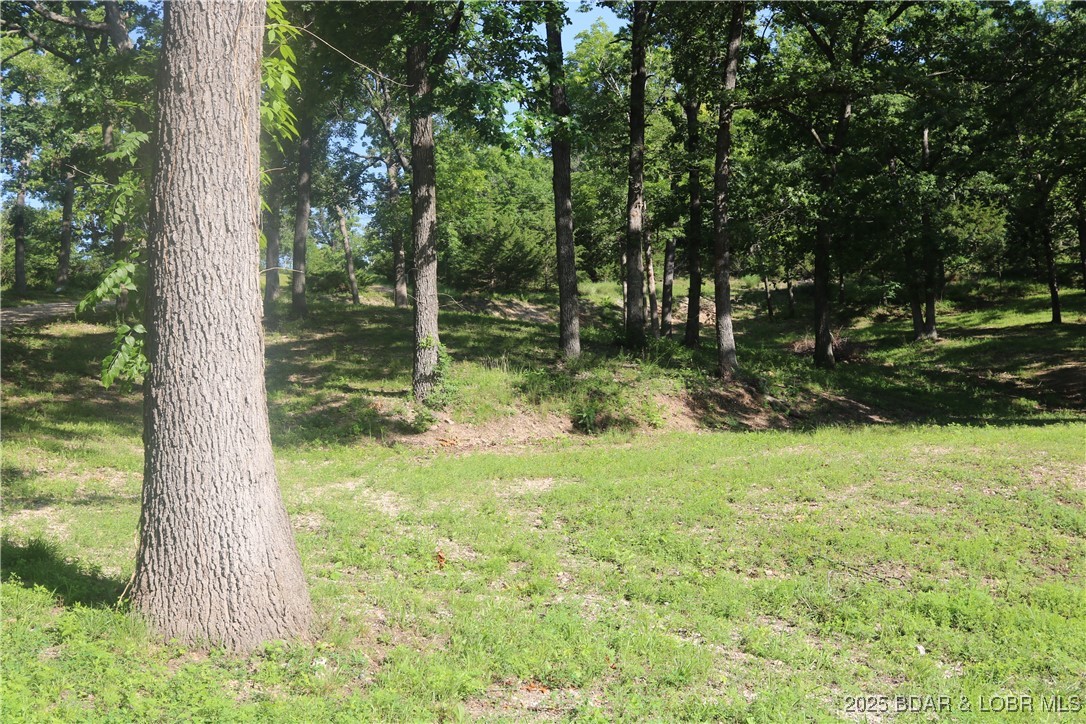 Easter Hollow - Land