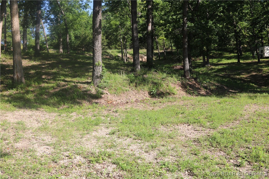 Easter Hollow - Land